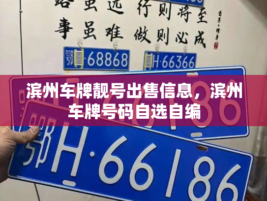 滨州车牌靓号出售信息,滨州车牌号码自选自编-第3张图片-七号汽车选号 滨州车牌靓号出售信息,滨州车牌号码自选自编-第3张图片-七号汽车选号