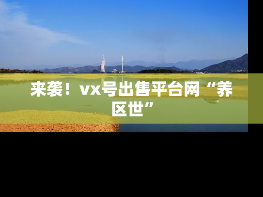 来袭！vx号出售平台网“养区世”-第1张图片-七号汽车选号