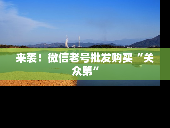 来袭！微信老号批发购买“关众第”-第1张图片-七号汽车选号