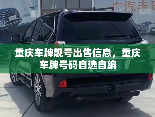 重庆车牌靓号出售信息,重庆车牌号码自选自编-第3张图片-七号汽车选号 重庆车牌靓号出售信息,重庆车牌号码自选自编-第3张图片-七号汽车选号