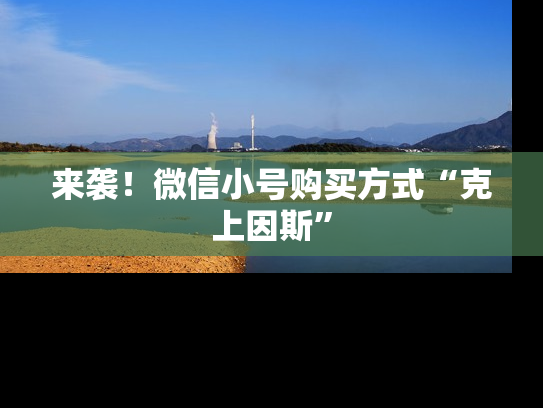 来袭！微信小号购买方式“克上因斯”-第1张图片-七号汽车选号