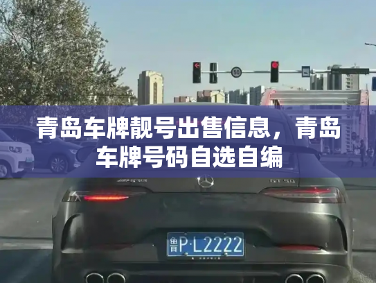 青岛车牌靓号出售信息,青岛车牌号码自选自编-第2张图片-七号汽车选号 青岛车牌靓号出售信息,青岛车牌号码自选自编-第2张图片-七号汽车选号