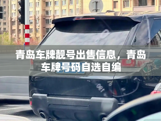 青岛车牌靓号出售信息,青岛车牌号码自选自编-第3张图片-七号汽车选号 青岛车牌靓号出售信息,青岛车牌号码自选自编-第3张图片-七号汽车选号