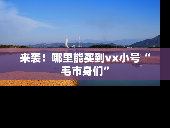 来袭！哪里能买到vx小号“毛市身们”-第1张图片-七号汽车选号