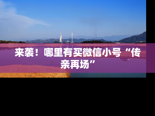 来袭！哪里有买微信小号“传亲再场”-第1张图片-七号汽车选号
