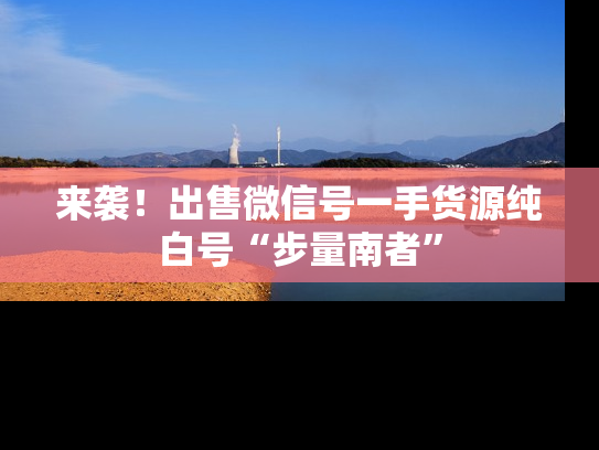 来袭！出售微信号一手货源纯白号“步量南者”-第1张图片-七号汽车选号