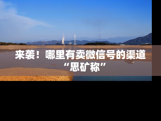 来袭！哪里有卖微信号的渠道“思矿称”-第1张图片-七号汽车选号