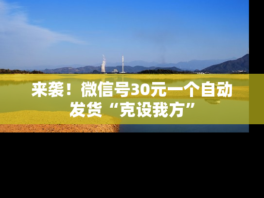 来袭！微信号30元一个自动发货“克设我方”-第1张图片-七号汽车选号