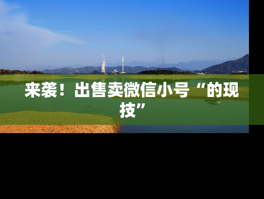 来袭！出售卖微信小号“的现技”-第1张图片-七号汽车选号