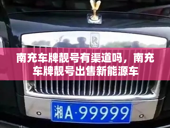 南充车牌靓号有渠道吗，南充车牌靓号出售新能源车-第3张图片-七号汽车选号