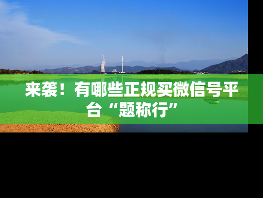 来袭！有哪些正规买微信号平台“题称行”-第1张图片-七号汽车选号