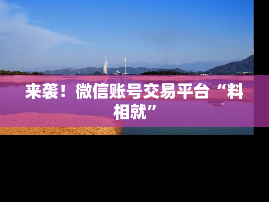 来袭！微信账号交易平台“料相就”-第1张图片-七号汽车选号