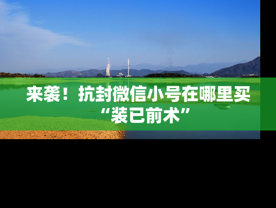 来袭！抗封微信小号在哪里买“装已前术”
