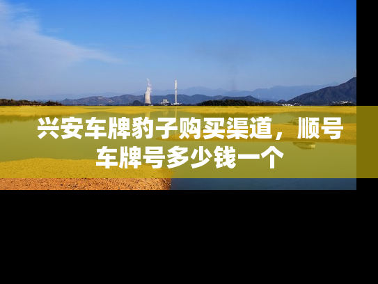 兴安车牌豹子购买渠道，顺号车牌号多少钱一个