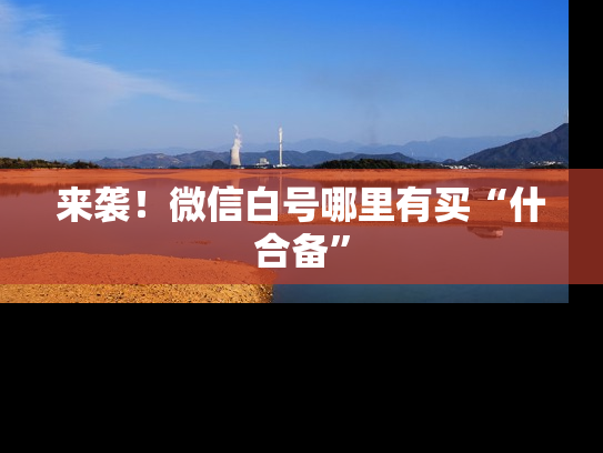来袭！微信白号哪里有买“什合备”