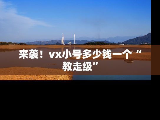 来袭！vx小号多少钱一个“教走级”