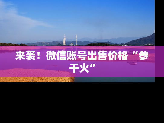 来袭！微信账号出售价格“参干火”
