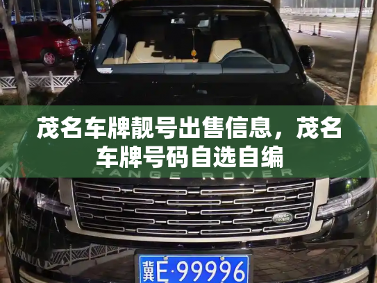 茂名车牌靓号出售信息，茂名车牌号码自选自编-第2张图片-七号汽车选号