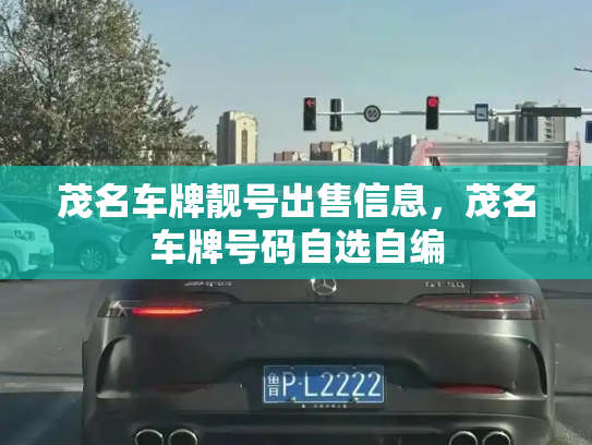 茂名车牌靓号出售信息，茂名车牌号码自选自编-第3张图片-七号汽车选号