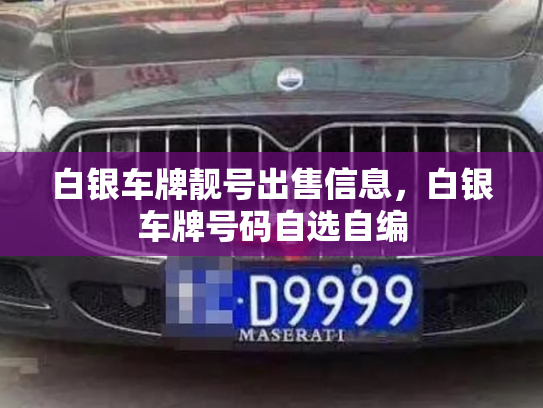 白银车牌靓号出售信息，白银车牌号码自选自编-第2张图片-七号汽车选号