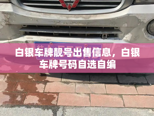 白银车牌靓号出售信息，白银车牌号码自选自编-第3张图片-七号汽车选号