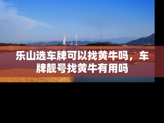 乐山选车牌可以找黄牛吗，车牌靓号找黄牛有用吗