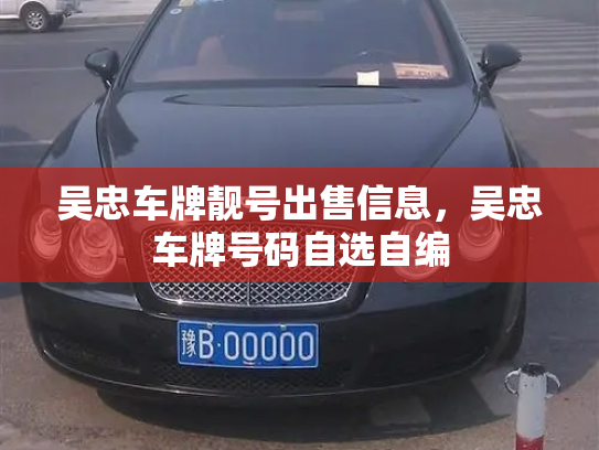 吴忠车牌靓号出售信息，吴忠车牌号码自选自编