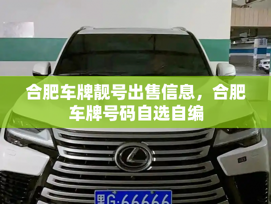合肥车牌靓号出售信息，合肥车牌号码自选自编-第2张图片-七号汽车选号