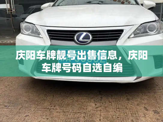 庆阳车牌靓号出售信息，庆阳车牌号码自选自编