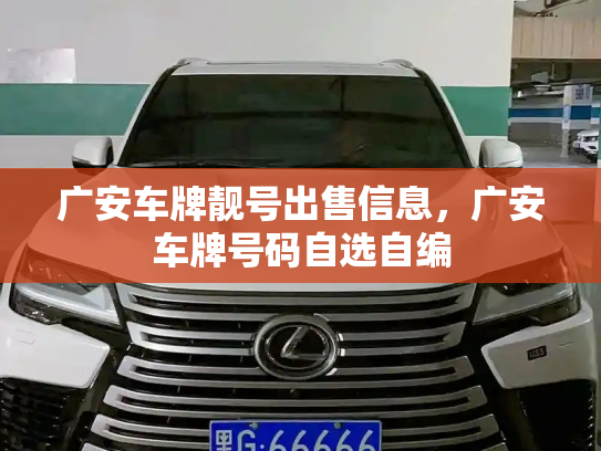 广安车牌靓号出售信息，广安车牌号码自选自编