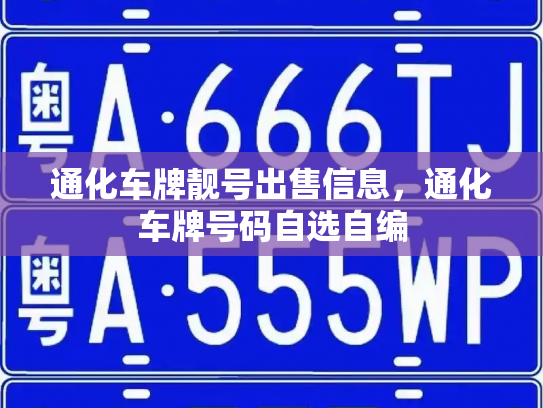 通化车牌靓号出售信息，通化车牌号码自选自编