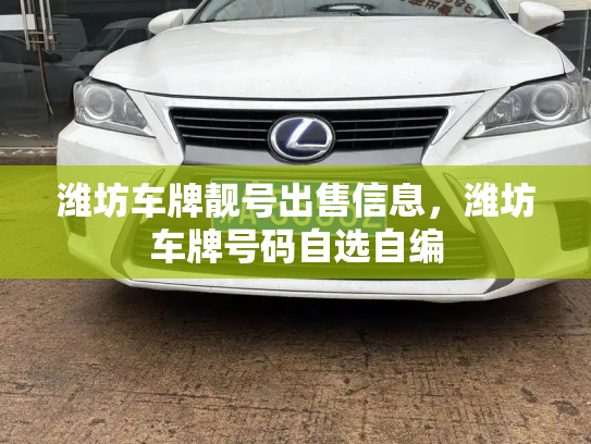 潍坊车牌靓号出售信息，潍坊车牌号码自选自编-第3张图片-七号汽车选号