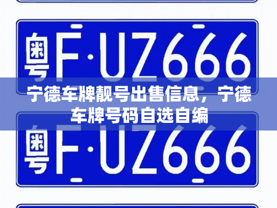 宁德车牌靓号出售信息，宁德车牌号码自选自编-第2张图片-七号汽车选号