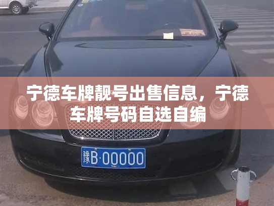 宁德车牌靓号出售信息，宁德车牌号码自选自编-第3张图片-七号汽车选号