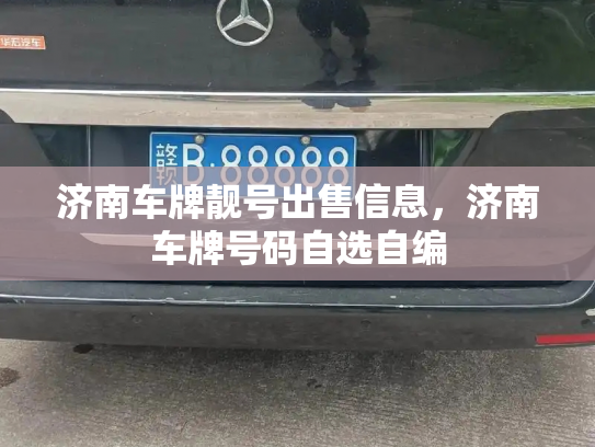 济南车牌靓号出售信息，济南车牌号码自选自编-第2张图片-七号汽车选号