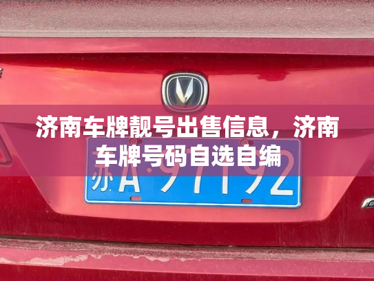 济南车牌靓号出售信息，济南车牌号码自选自编-第3张图片-七号汽车选号