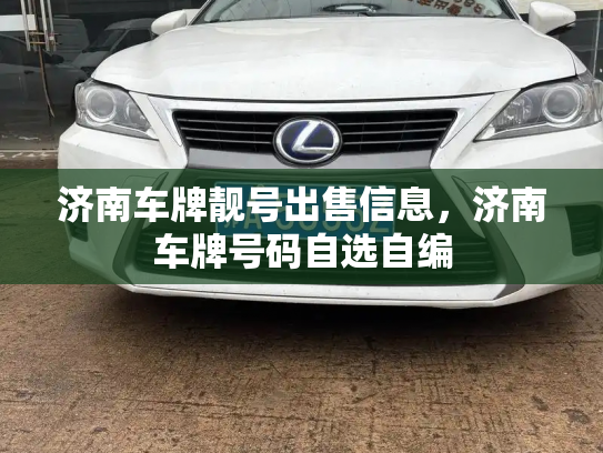 济南车牌靓号出售信息，济南车牌号码自选自编