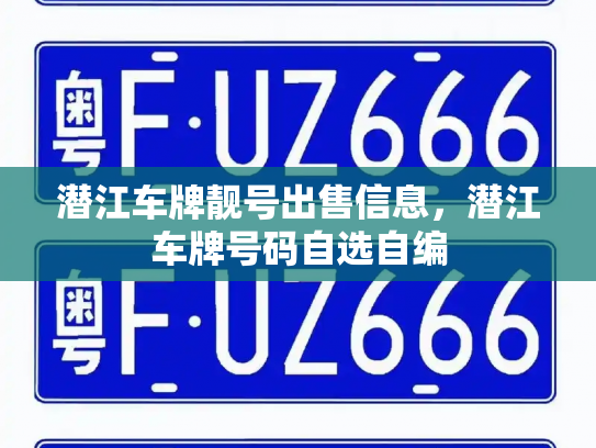 潜江车牌靓号出售信息，潜江车牌号码自选自编