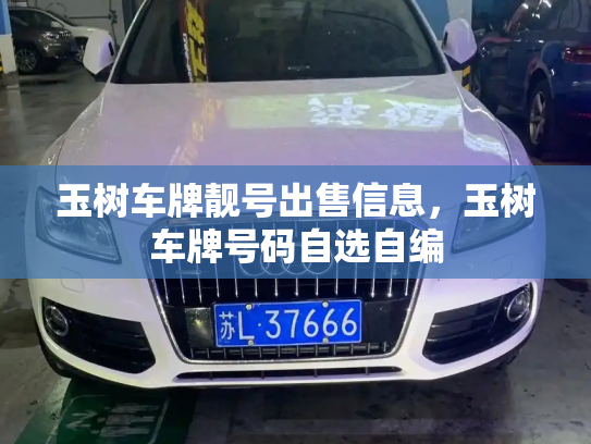 玉树车牌靓号出售信息,玉树车牌号码自选自编-第2张图片-七号汽车选号 玉树车牌靓号出售信息,玉树车牌号码自选自编-第2张图片-七号汽车选号