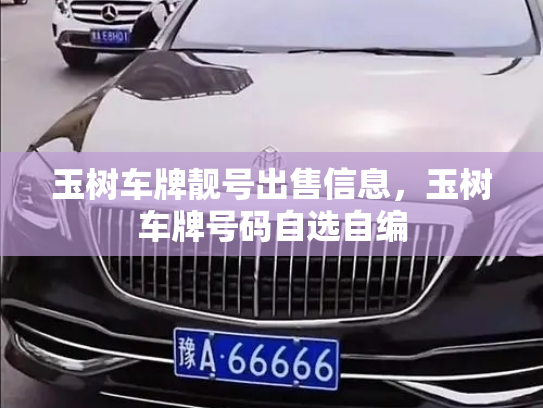 玉树车牌靓号出售信息,玉树车牌号码自选自编-第3张图片-七号汽车选号 玉树车牌靓号出售信息,玉树车牌号码自选自编-第3张图片-七号汽车选号