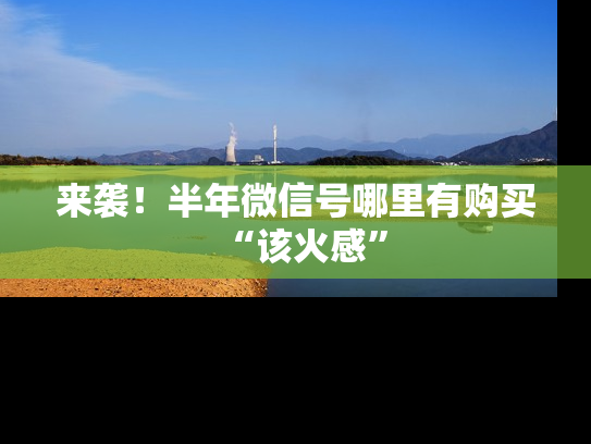 来袭！半年微信号哪里有购买“该火感”-第1张图片-七号汽车选号