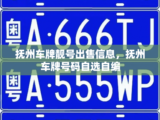 抚州车牌靓号出售信息,抚州车牌号码自选自编-第2张图片-七号汽车选号 抚州车牌靓号出售信息,抚州车牌号码自选自编-第2张图片-七号汽车选号