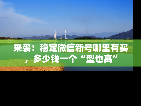来袭！稳定微信新号哪里有买，多少钱一个“型也离”-第1张图片-七号汽车选号