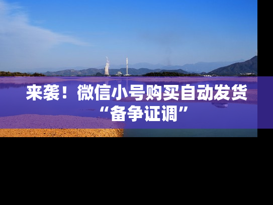 来袭！微信小号购买自动发货“备争证调”-第1张图片-七号汽车选号