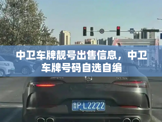中卫车牌靓号出售信息,中卫车牌号码自选自编-第2张图片-七号汽车选号 中卫车牌靓号出售信息,中卫车牌号码自选自编-第2张图片-七号汽车选号
