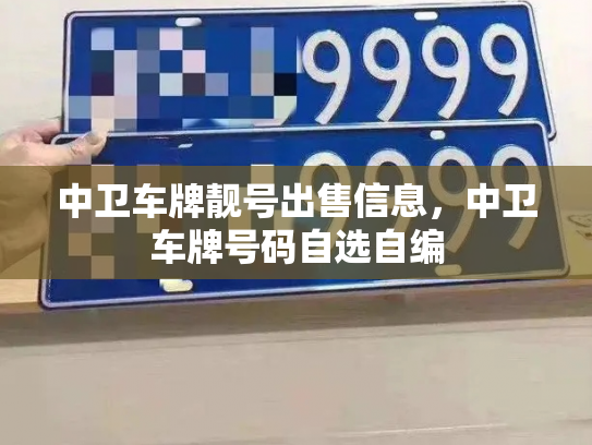 中卫车牌靓号出售信息,中卫车牌号码自选自编-第3张图片-七号汽车选号 中卫车牌靓号出售信息,中卫车牌号码自选自编-第3张图片-七号汽车选号