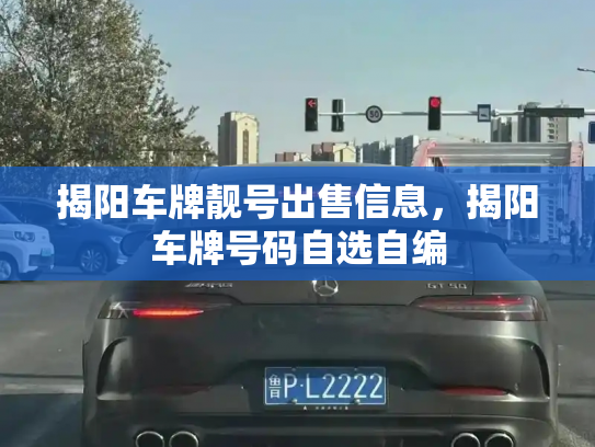 揭阳车牌靓号出售信息,揭阳车牌号码自选自编-第3张图片-七号汽车选号 揭阳车牌靓号出售信息,揭阳车牌号码自选自编-第3张图片-七号汽车选号