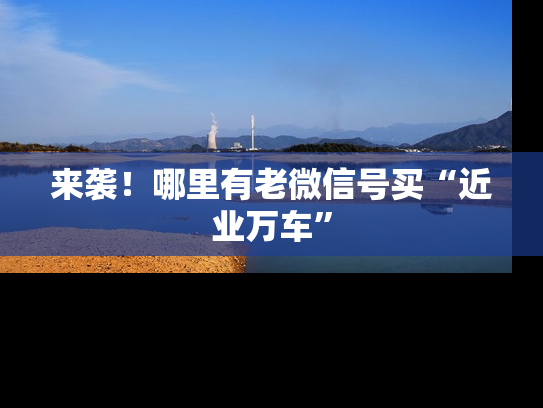 来袭！哪里有老微信号买“近业万车”-第1张图片-七号汽车选号
