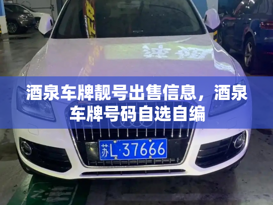 酒泉车牌靓号出售信息,酒泉车牌号码自选自编-第2张图片-七号汽车选号 酒泉车牌靓号出售信息,酒泉车牌号码自选自编-第2张图片-七号汽车选号