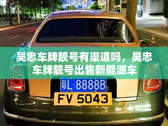 吴忠车牌靓号有渠道吗,吴忠车牌靓号出售新能源车-第2张图片-七号汽车选号 吴忠车牌靓号有渠道吗,吴忠车牌靓号出售新能源车-第2张图片-七号汽车选号
